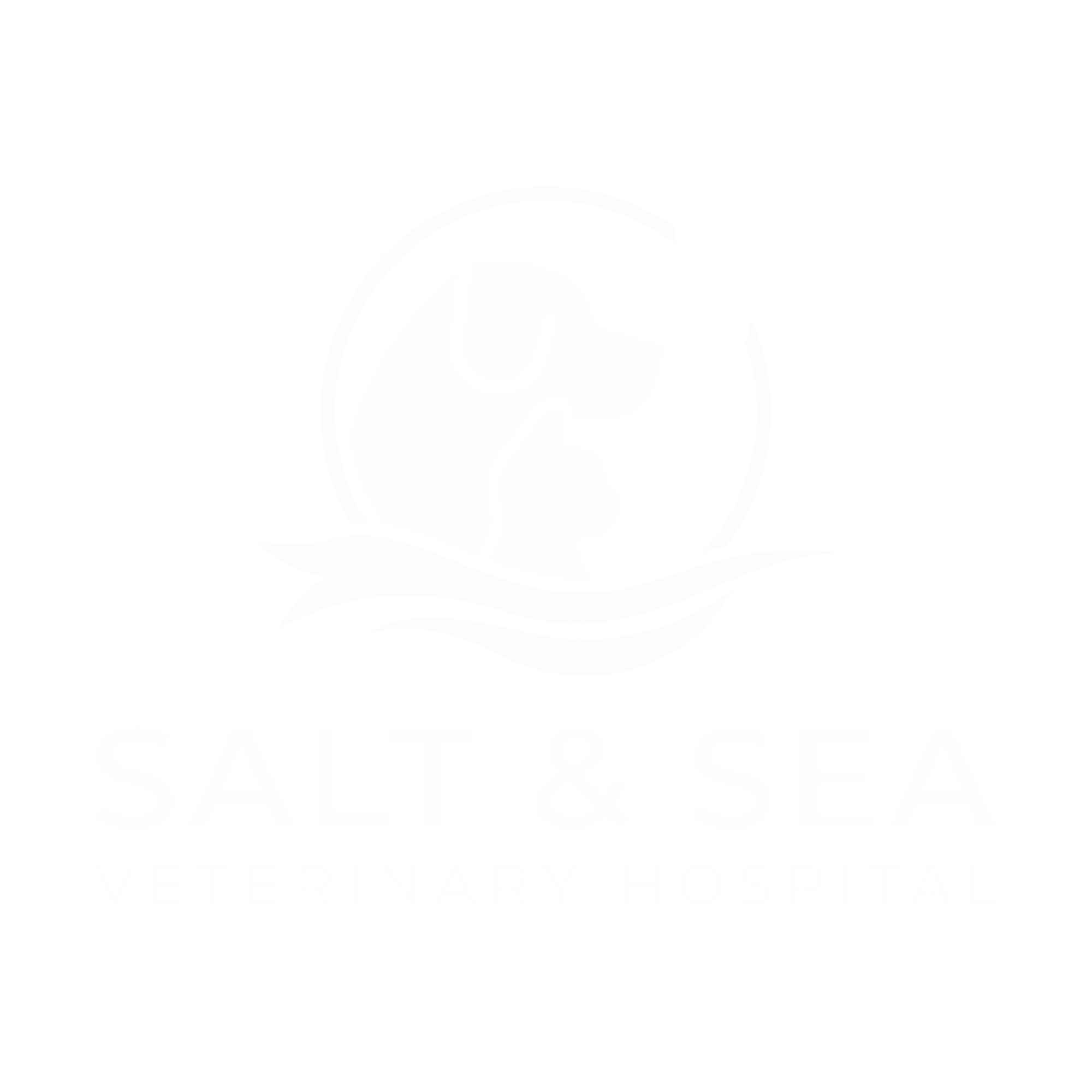 Salt & Sea Veterinary Hospital